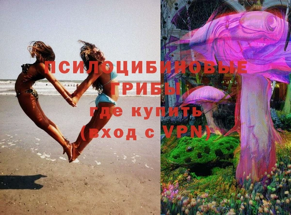 винт Струнино