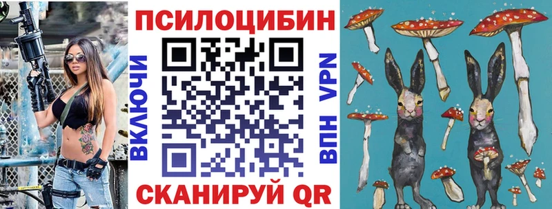 Купить где  Лениногорск  Псилоцибиновые грибы Psilocybine cubensis 